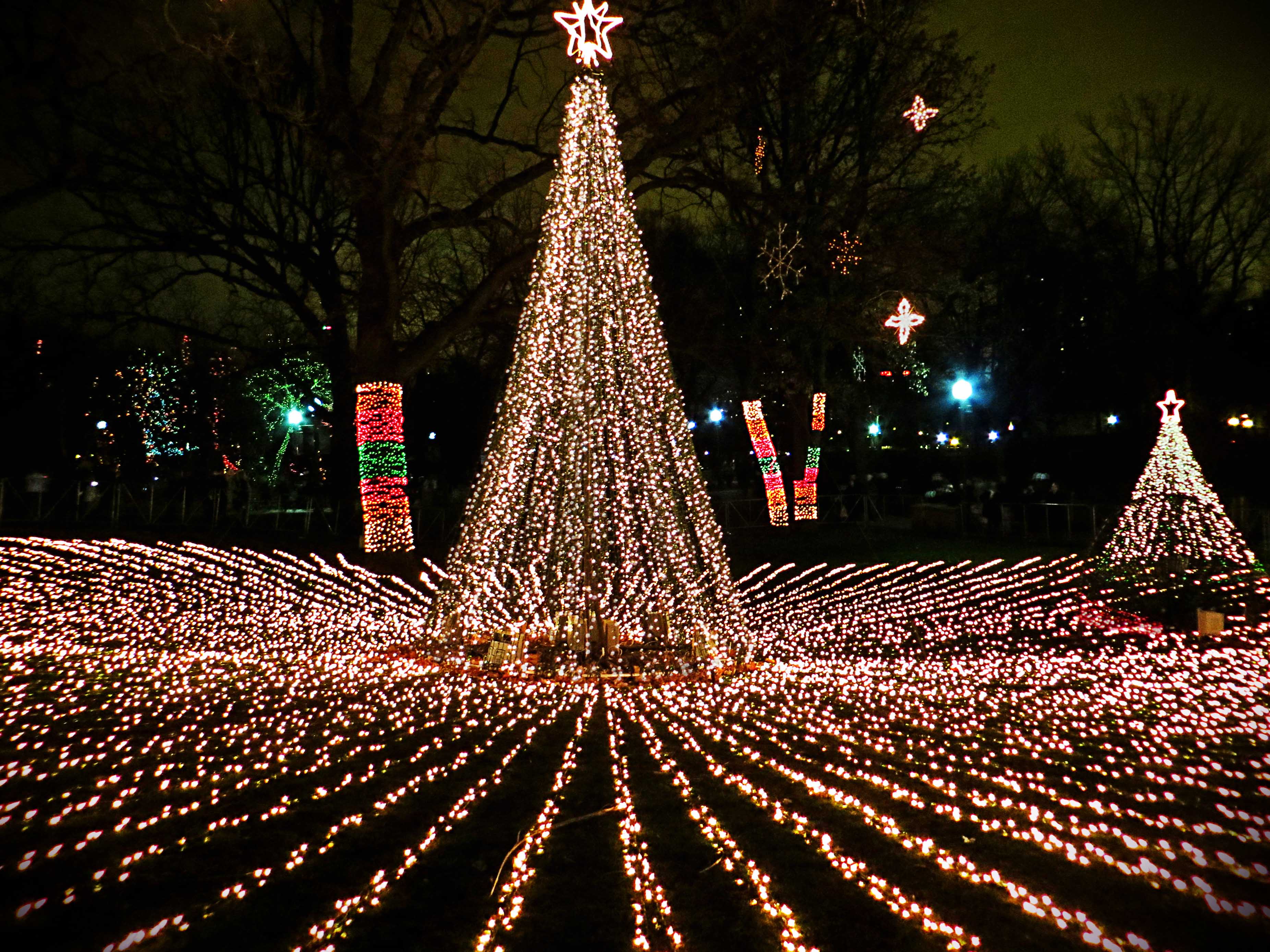 Brookfield Zoo Lights Calendar Shelly Lighting